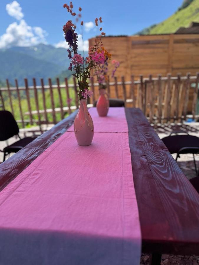 Gaul Gavkhe Hotel Ushguli Exterior photo
